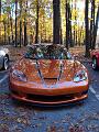 The Great Pumpkin